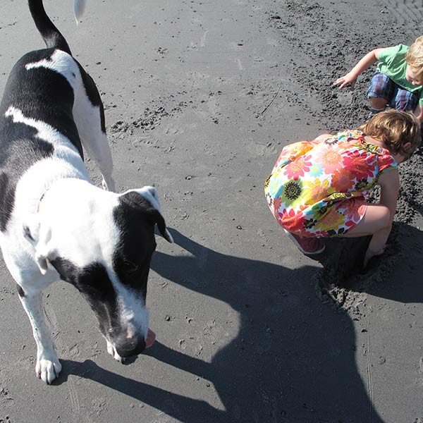 Beach - York, Maine - 2011