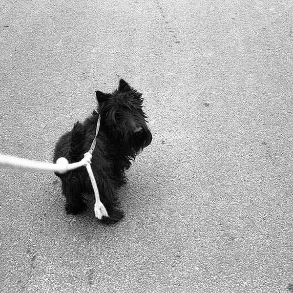 Docker - North Caldwell, NJ - 1969