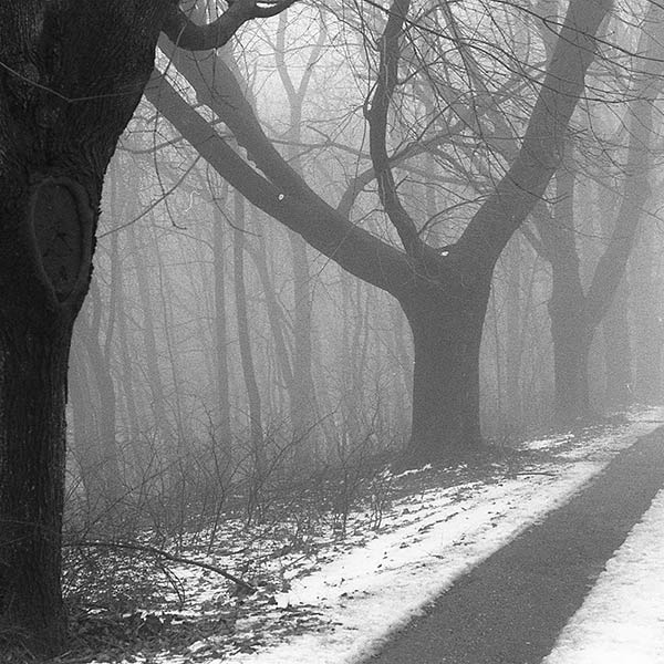 Driveway - Schooley’s Mountain, NJ - 1993