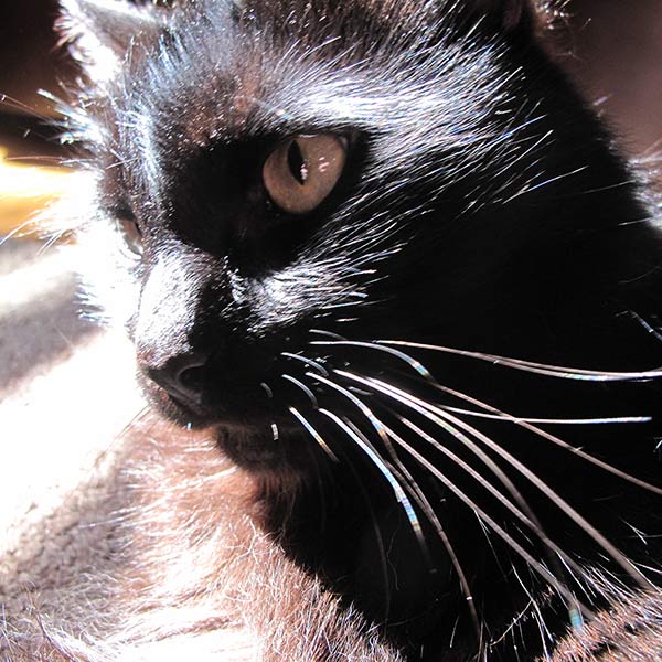 Garby - Durham, NC - 2012