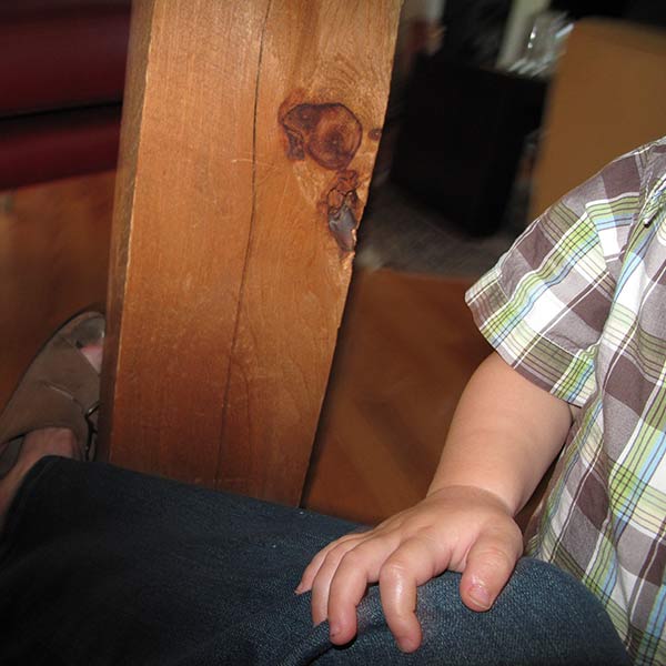 Hand - York, Maine - 2010