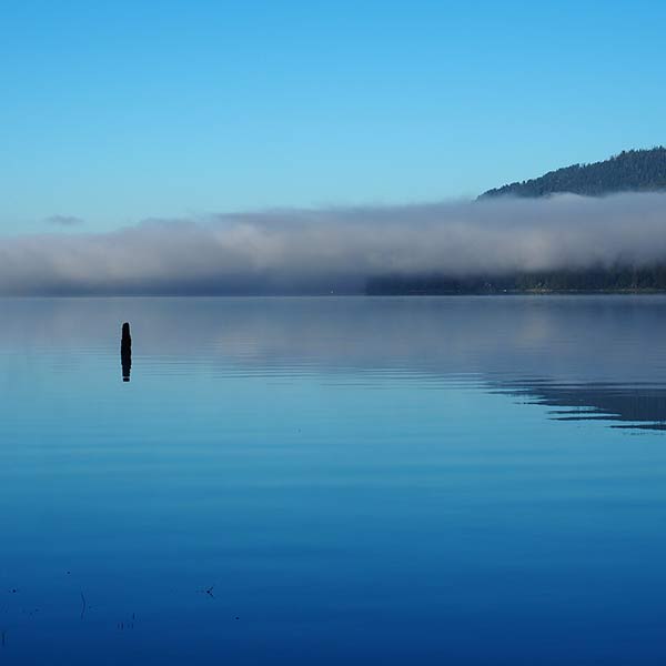 Lake Quinault - Olympic Peninsula, WA - 2018
