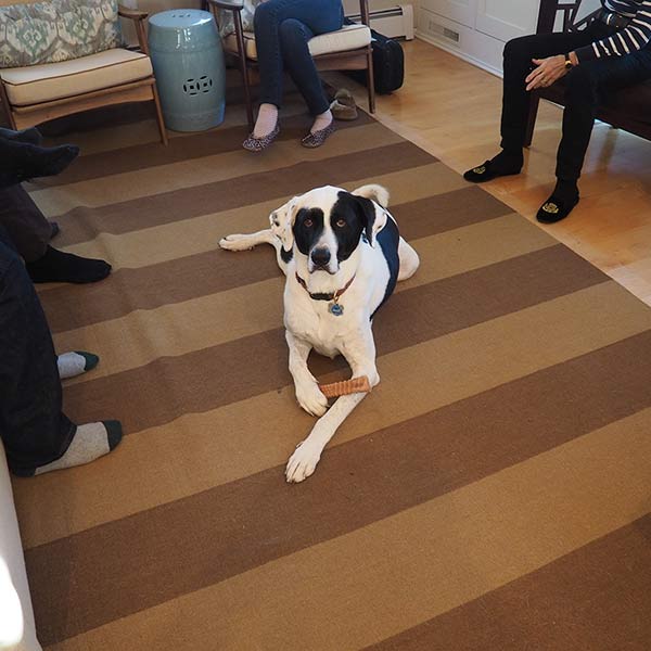 Milo - York, Maine - 2014