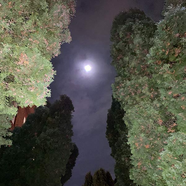 Moon Light - Stadium District, WA - 2020