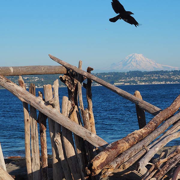 Mt. Rainier - Vashon Island, WA - 2014
