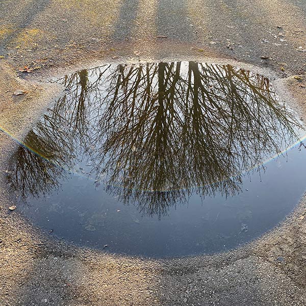 Puddle - Stadium District, WA - 2021
