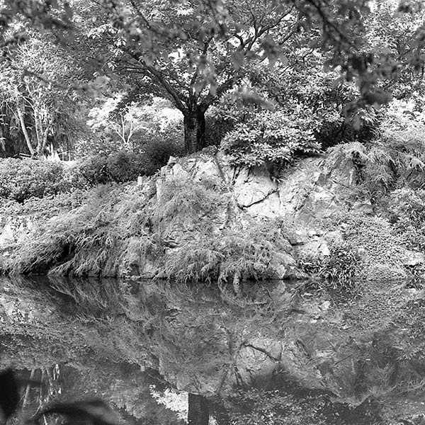 Reflection - Butchart Gardens, Canada - 1998