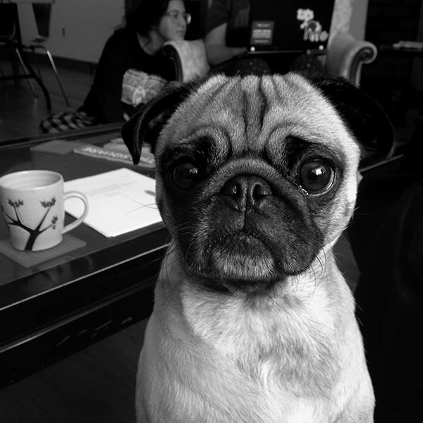 Skylar - Portsmouth, New Hampshire - 2014