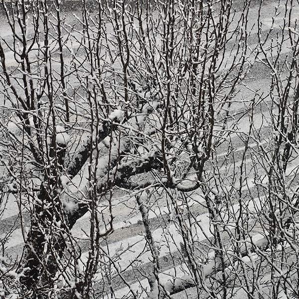 Tracks - Tacoma, WA - 2019