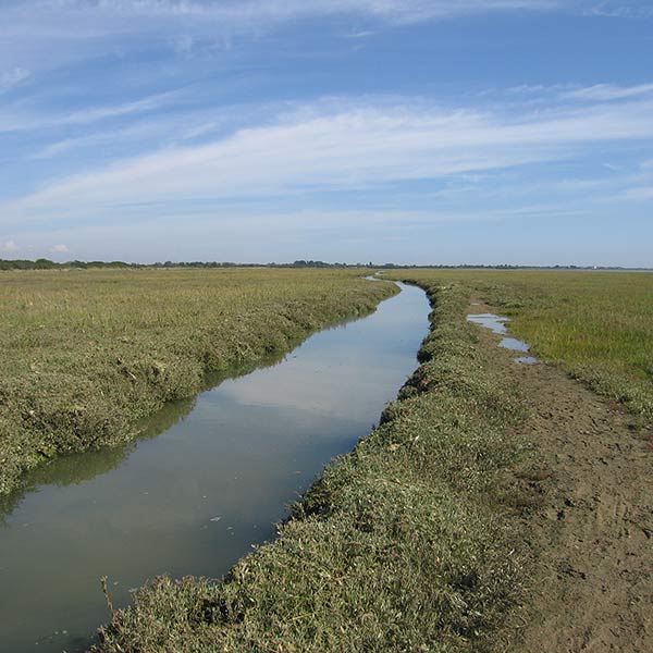 Waterway - Chichester, England - 2005
