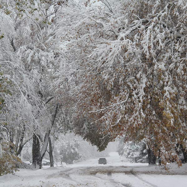 Winter - Hackettstown, NJ - 2011